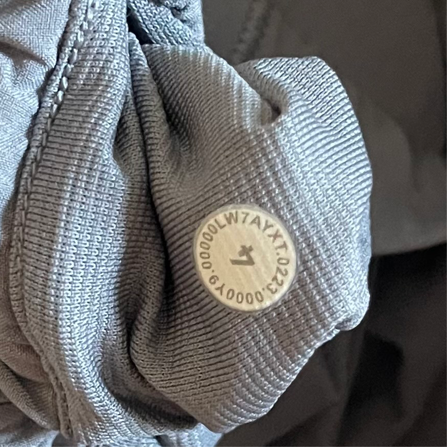 Lululemon Hotty Hot HR Shorts